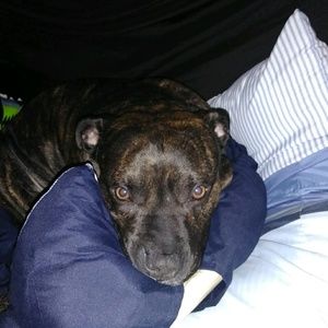 Meet your Posher, Nolan